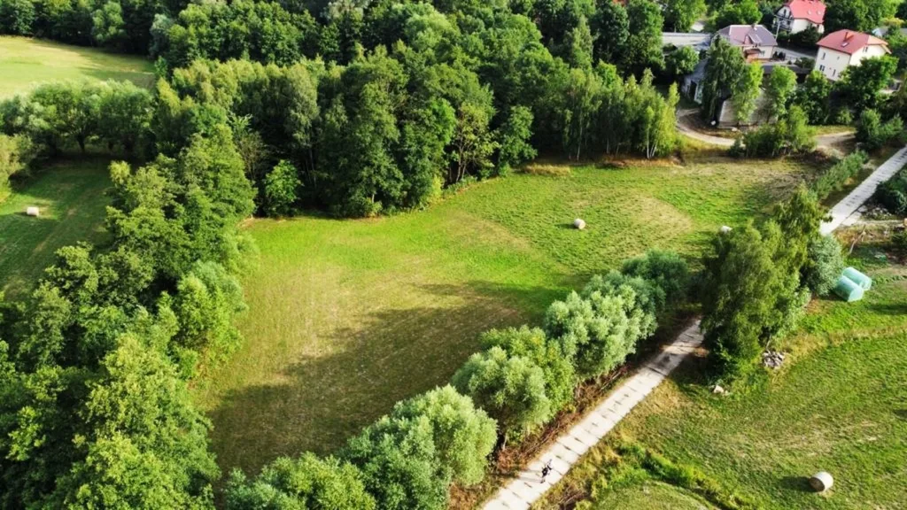 IMG-20230726-WA0010_Easy-Resize.com